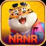 nrnr Royal Casino App